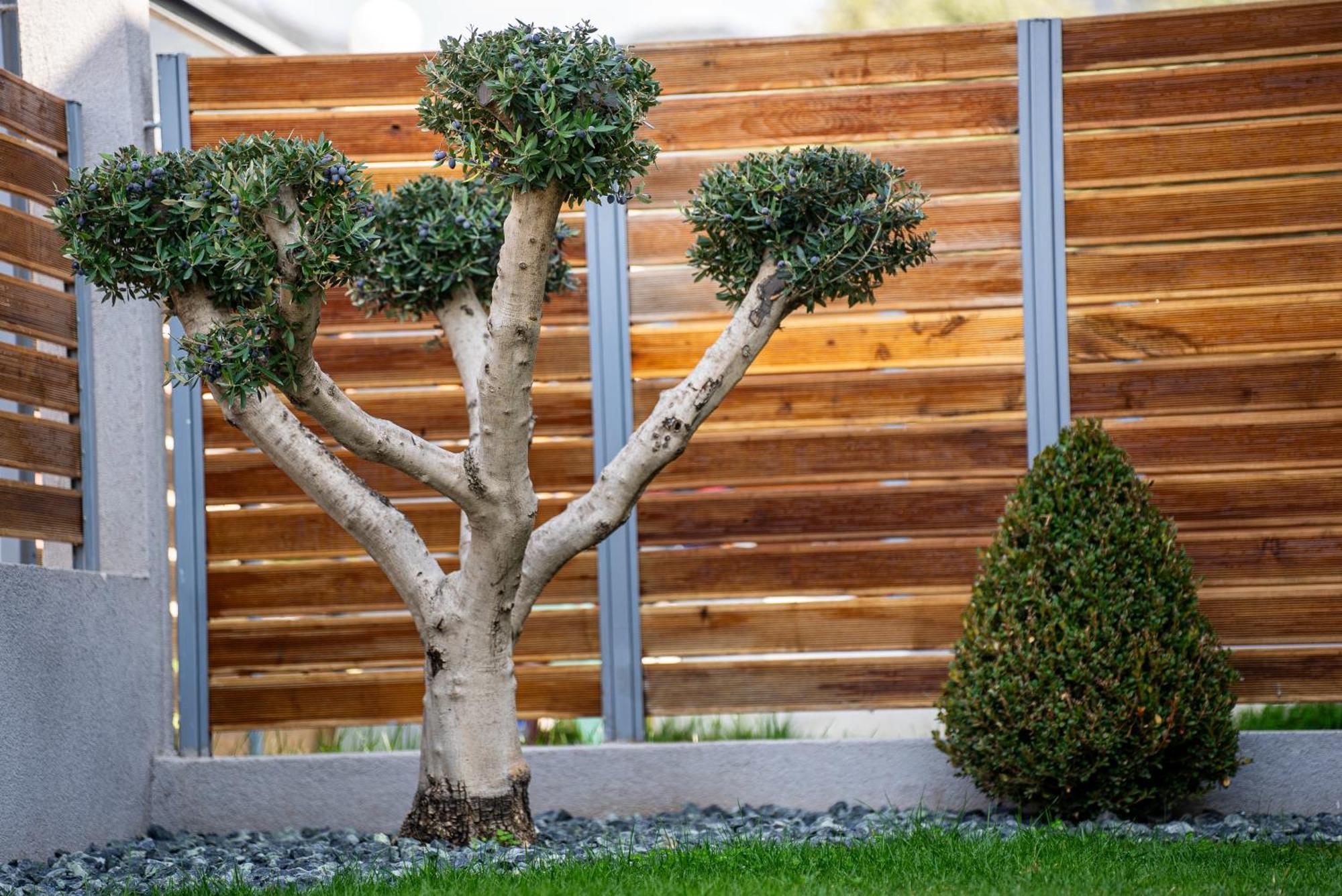 Nea Iraklitsa Aegean Twin Houses מראה חיצוני תמונה